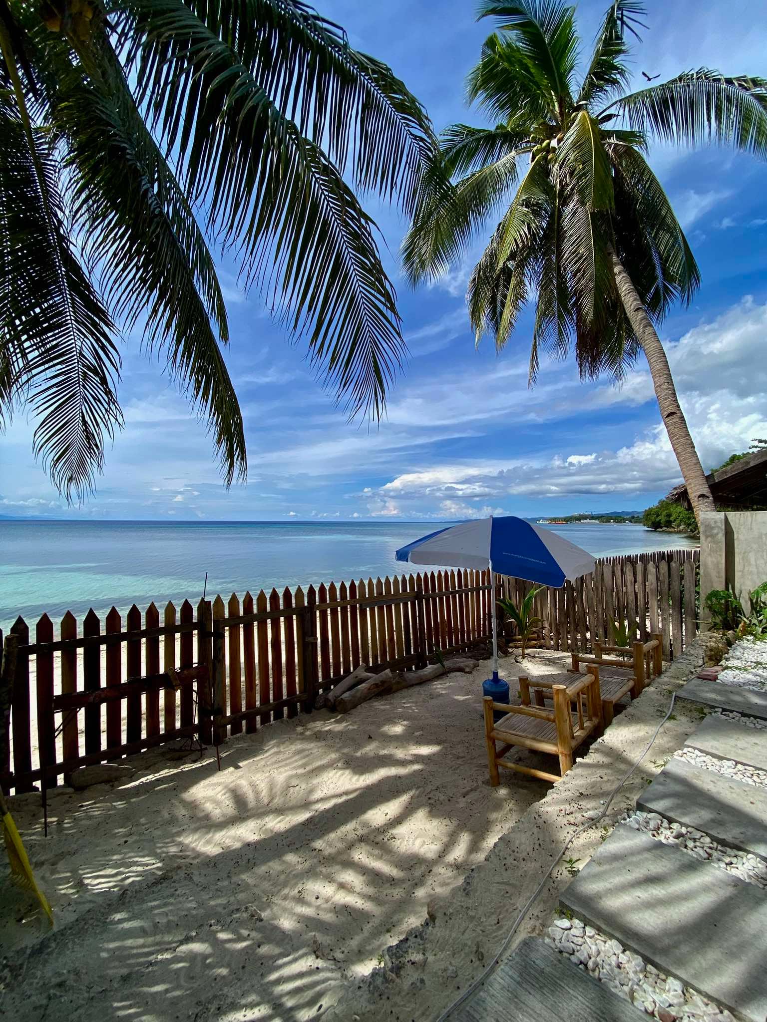 Beachfront garden framed by coconut palms